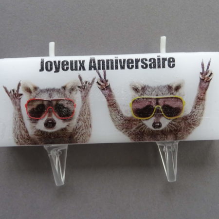 Bougie Création "Joyeux Anniversaire" Animaux Humoristiques