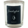 Bougie parfumée Eucalyptus