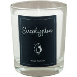 Bougie parfumée Eucalyptus