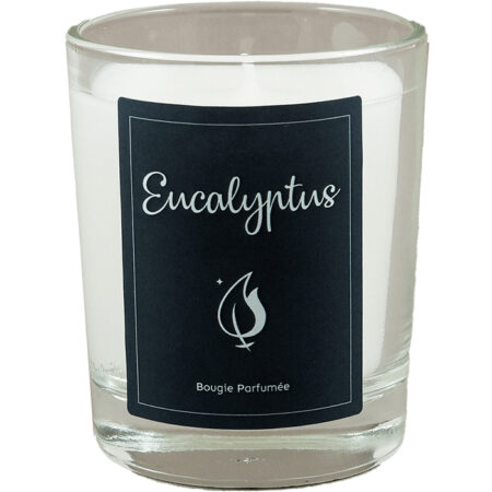 Bougie parfumée Eucalyptus, boite de 6